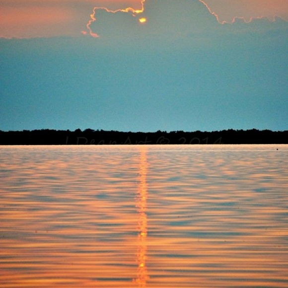 Meet your Posher, Trinette - Picture 1 of 1